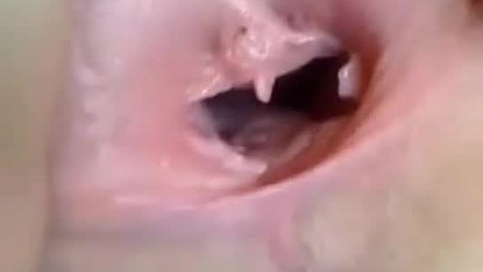 Mature arab pussy up close