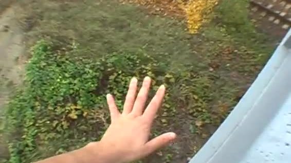 Babe is getting her vagina delighted in public